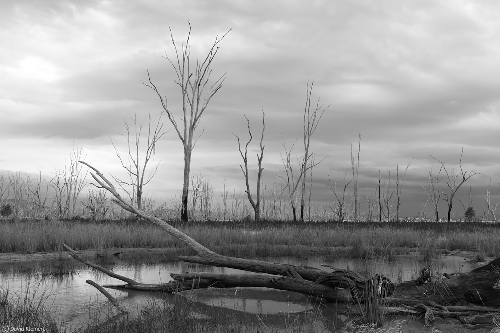 Winton Wetlands 